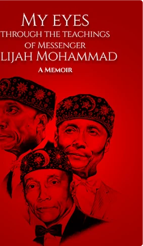 Published book 6